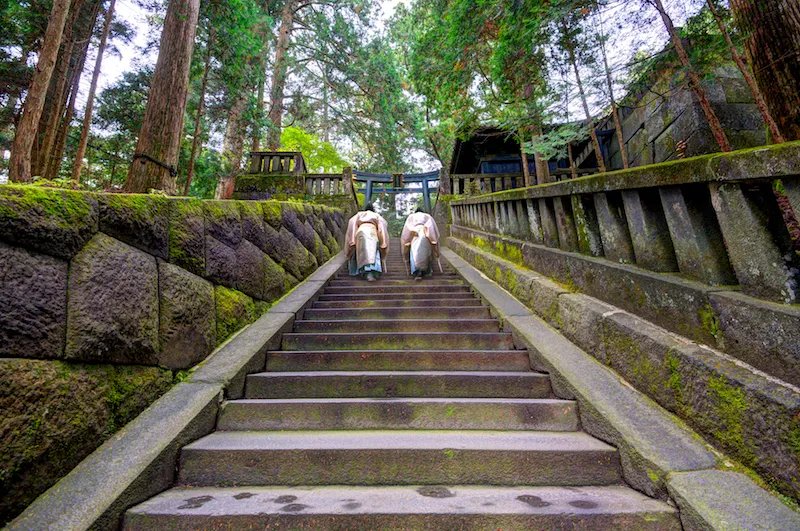 ⛩️ 깃코 신사 (킷코 진자) 이미지 8